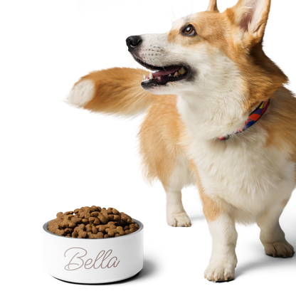 Luxurious Personalised Pet Food Bowl With Pet's Name
