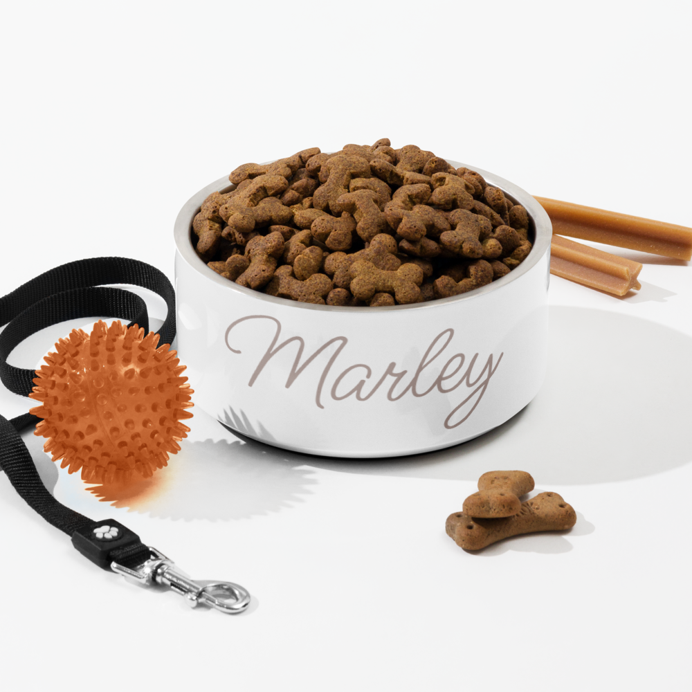 Luxurious Personalised Pet Food Bowl With Pet's Name